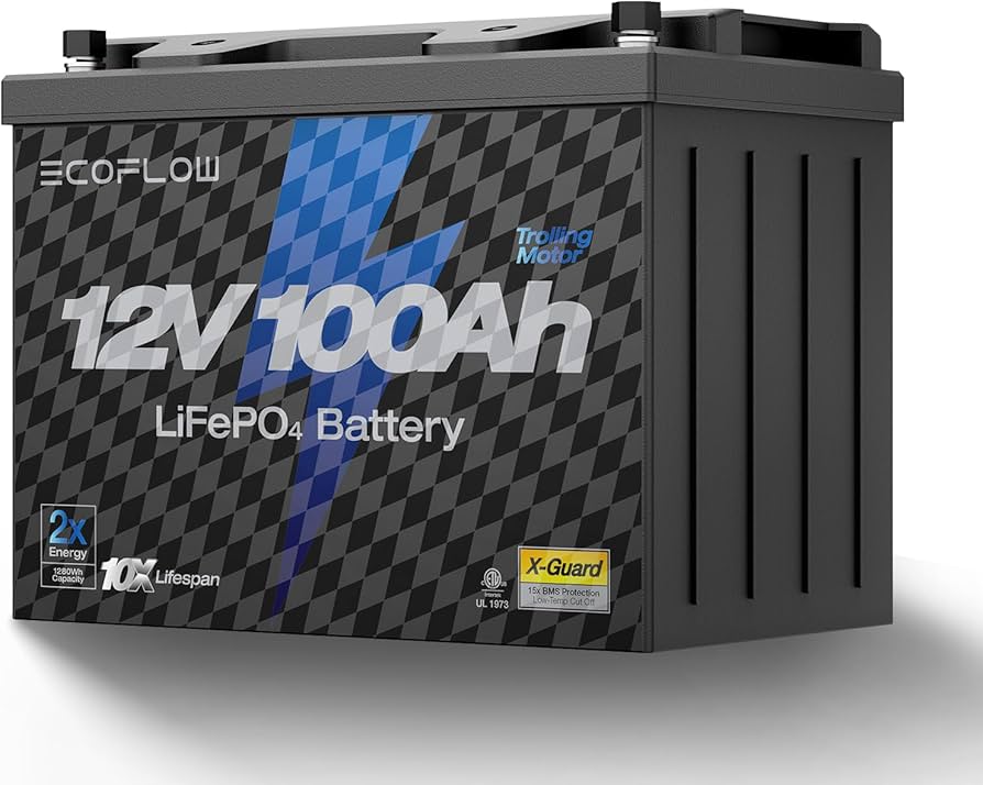 EcoFlow LiFePO4 Battery (EF-PK-B12-1)